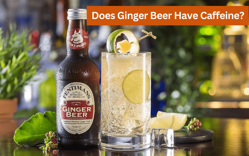 does ginger beer have caffeine