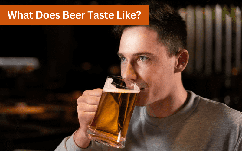 what does beer taste like