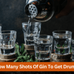 how many shots of gin to get drunk