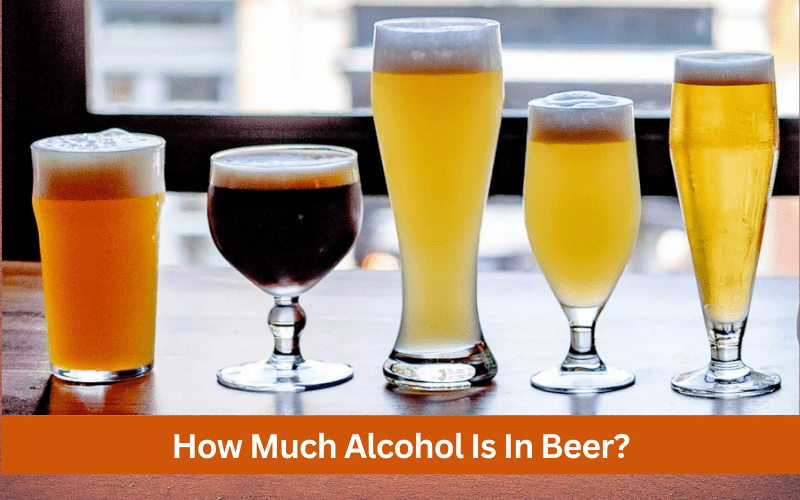 how much alcohol is in beer