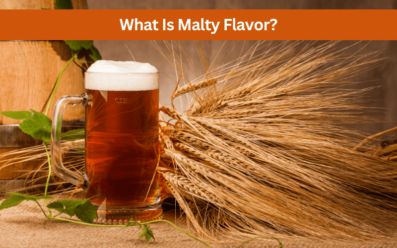 what is malty flavor