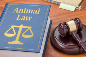 Wildlife Conservation through Animal Law: Policies and Practices