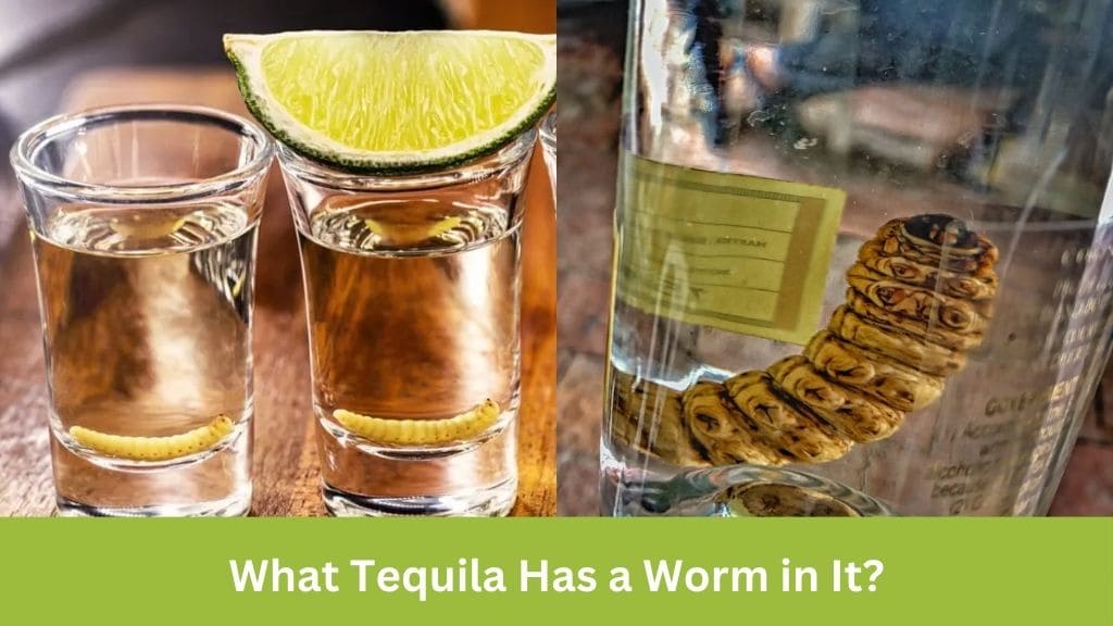 what tequila has a worm in it