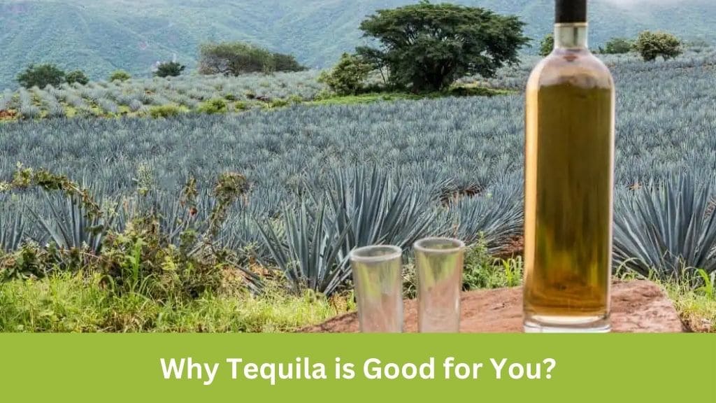 why tequila is good for you