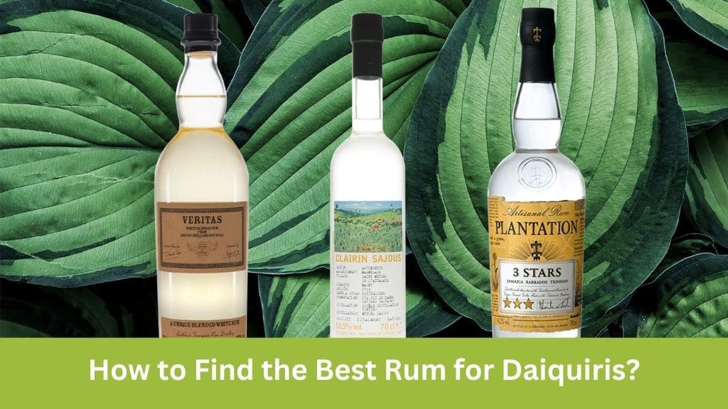 best rum for daiquiri