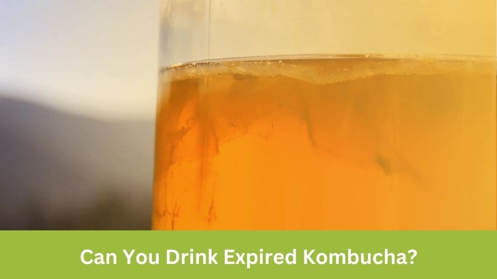 can you drink expired kombucha