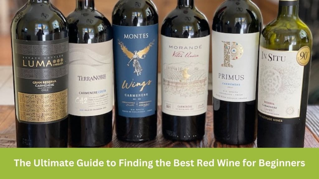Best red wine for beginners
