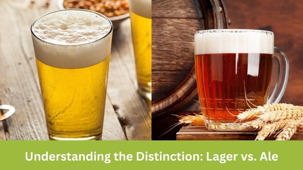 difference between a lager and ale