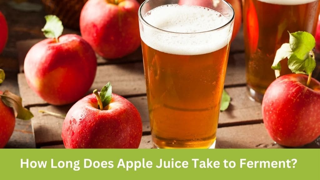 how long does apple juice take to ferment