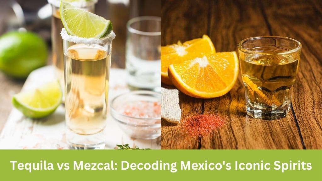 Tequila vs Mezcal