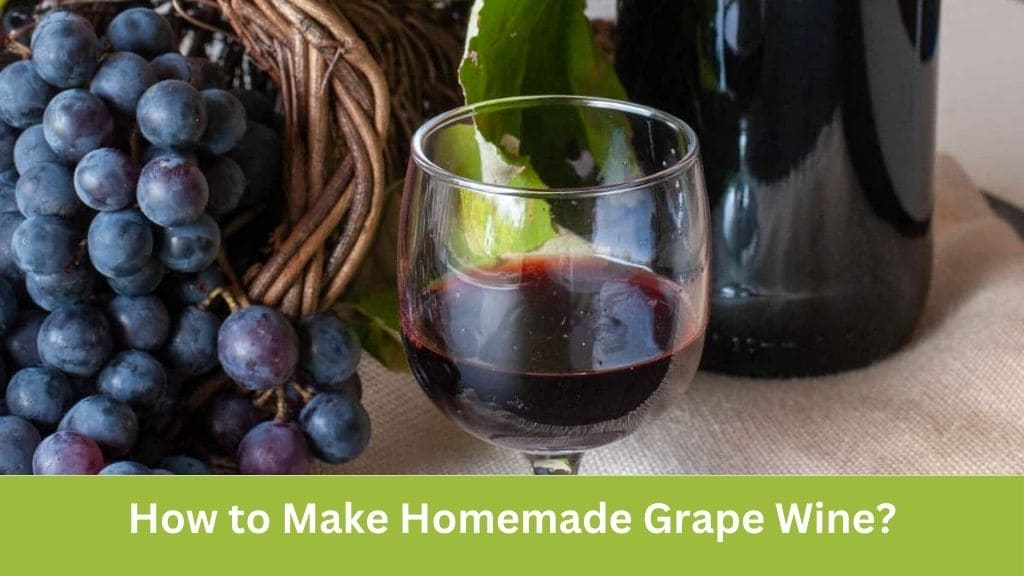 how to make home made grape wine