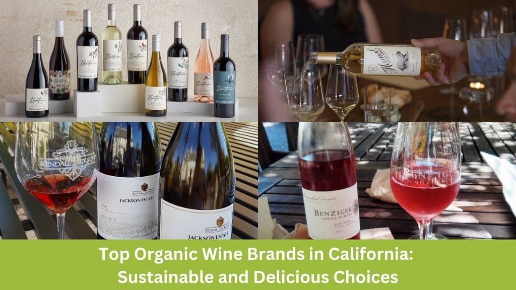 Organic wine brands in California